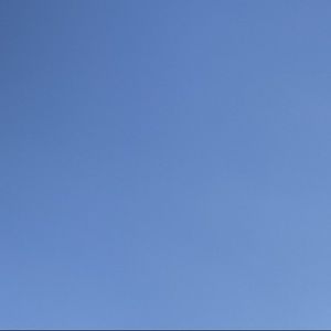 Meet your Posher, Madelyn